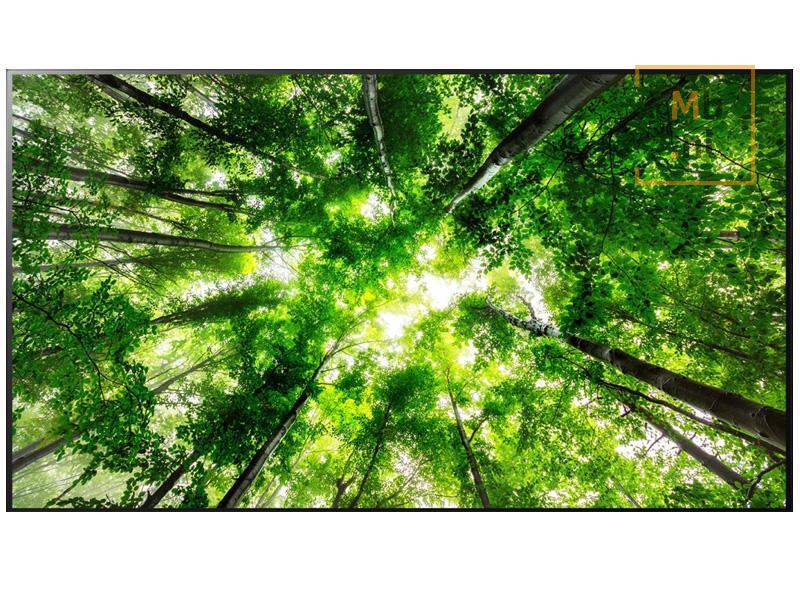 LG OLED W8 serie