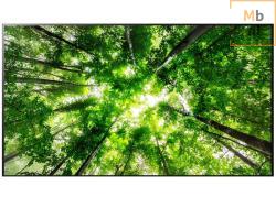 lg-oled77w8pla